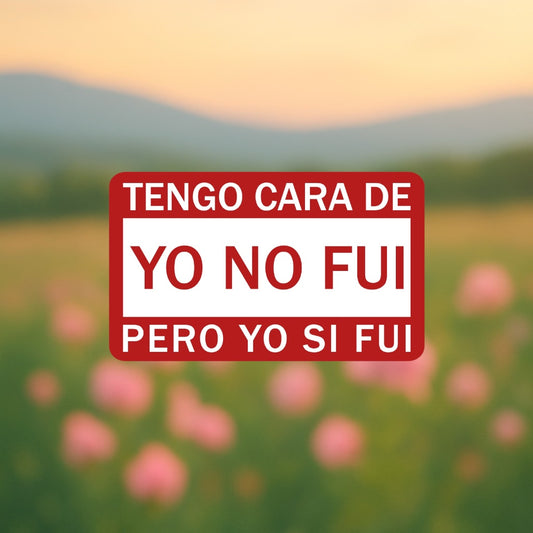 Sticker - Tengo cara de yo no fui