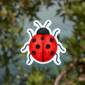 Ladybug 🐞 Baby Sticker